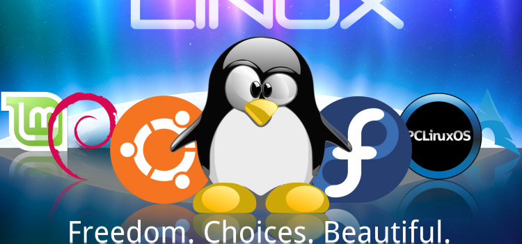 Linux và ý nghĩa đằng sau những cái tên khác biệt