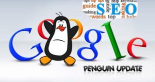 Tổng quan về thuật toán Google Penguin