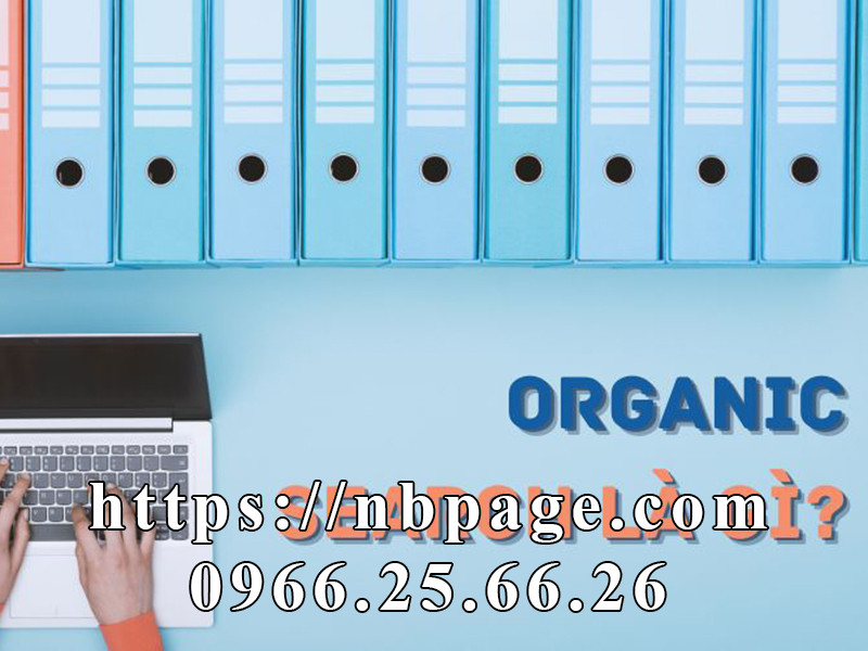 Organic Search-SEO Web Ninh Binh.jpg